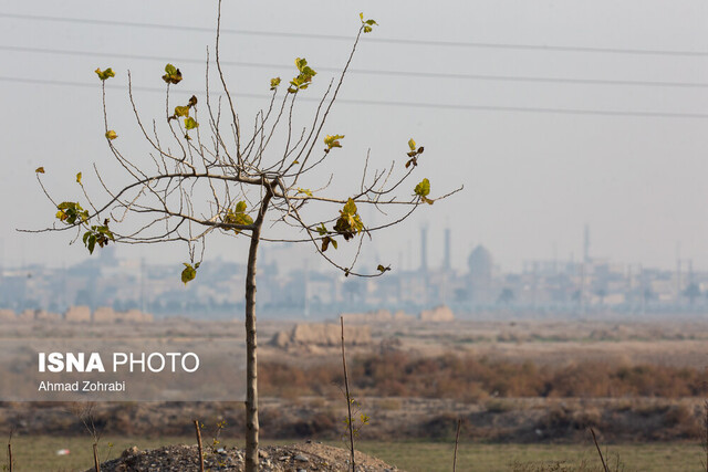 آلودگی هوای۴ کلانشهر/ خیزش گرد و خاک در شرق کشور