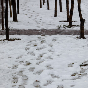 نخستین برف پاییزی تهران