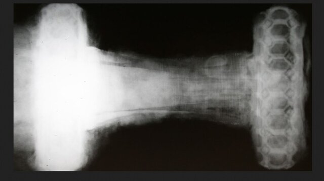 رونمایی از شمشیر تاریخی به کمک فناوری