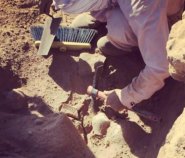 تصاویر جدید از کاوشهای «شهر سوخته»