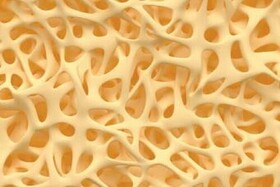 استفاده از سلول‌های بنیادی مخاط بینی؛ روشی جدید برای ترمیم استخوان