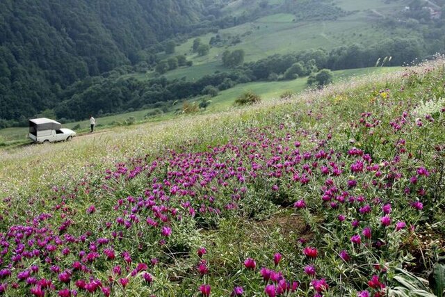 برخورد قانونی با متخلفان تخریب پوشش گیاهی در مناطق حفاظت شده اردستان