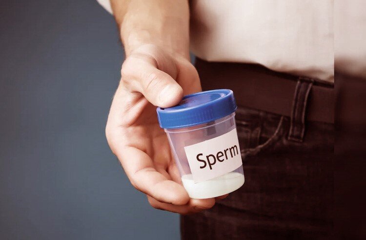 اسپرم اهدایی چیست و شرایط بارداری با آن چگونه است؟