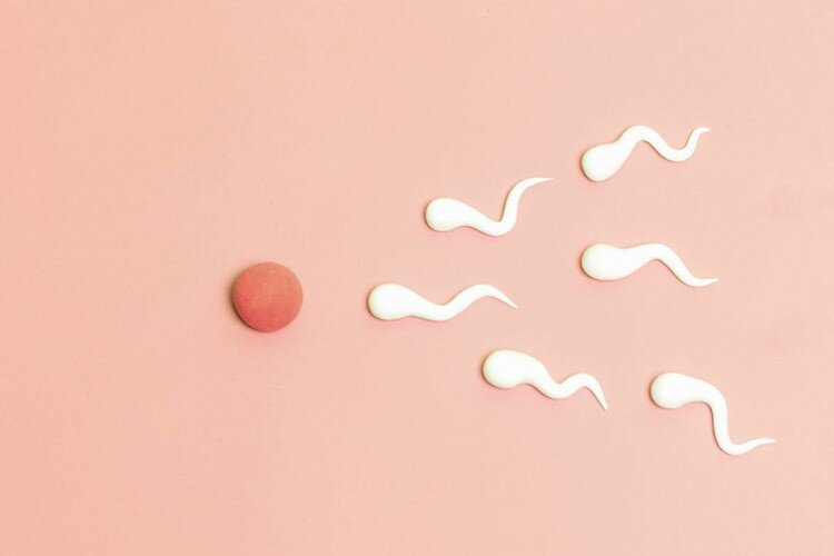 اسپرم اهدایی چیست و شرایط بارداری با آن چگونه است؟