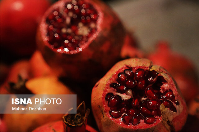 عکس آرشیویست جشن «یلدا» از کجا میآید؟