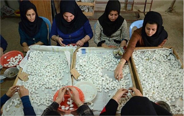 شغلهای پردرآمد که تحصیلات عالیه نمیخواهد شغلهای پردرآمد که تحصیلات عالیه نمیخواهد