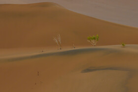 «لوت» در زبان بلوچی که از زبانهای شمال غربی ایران محسوب میشود، بهمعنای برهنه، بیآبوعلف، تشنه و خالی از همهچیز است .