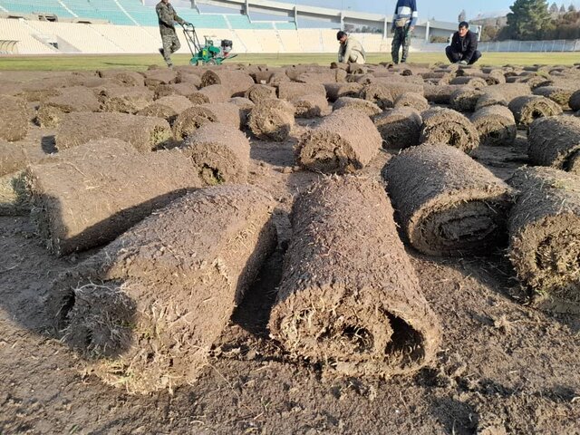 تعویض چمن ورزشگاه تختی پس از ۱۰ سال/ ۲۰ میلیارد برای بازسازی استادیوم تختی