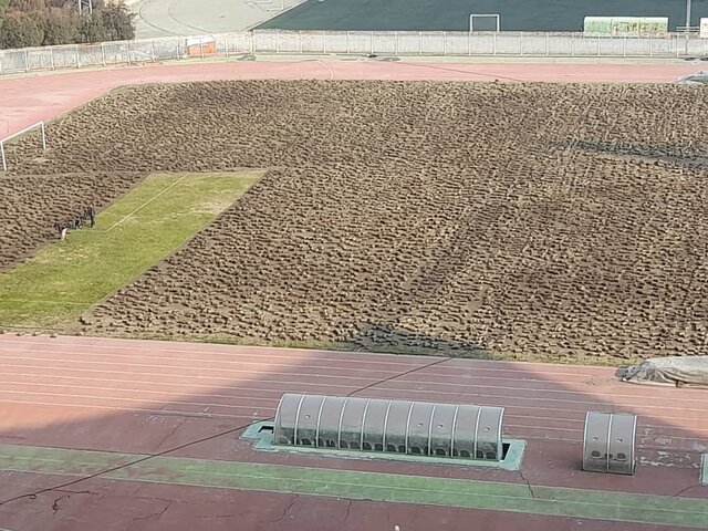 تعویض چمن ورزشگاه تختی پس از ۱۰ سال/ ۲۰ میلیارد برای بازسازی استادیوم تختی