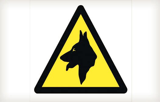 عجیبترین تابلوهای راهنمایی و رانندگی در جهان