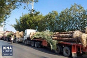 ارتقای سلامت محصولات کشاورزی خوزستان از طریق صدور شناسنامه دیجیتال 