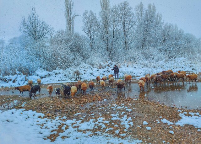 طبیعت زمستانی روستای درو