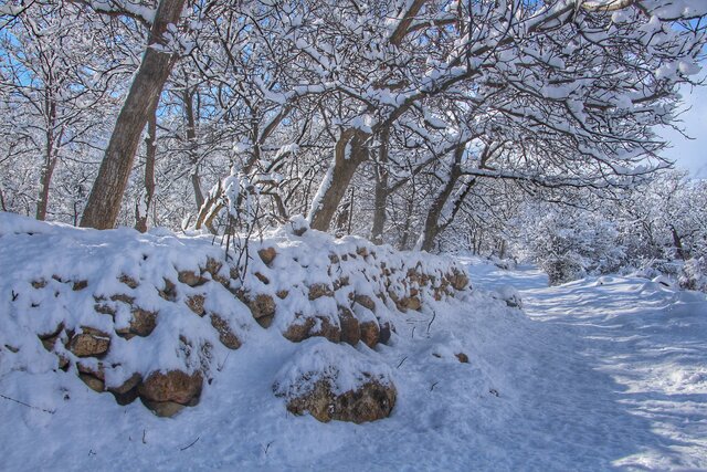طبیعت زمستانی روستای درو