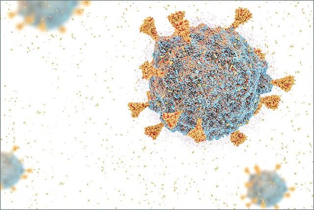 پادتنهایی که میتوانند اُمیکرون را خنثی کنند پادتنهایی که میتوانند اُمیکرون را خنثی کنند