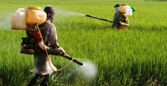 سموم علیه سلامت جسمی و روان مردم سموم علیه سلامت جسمی و روان مردم