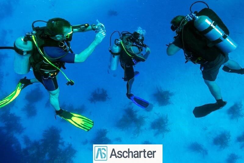 آکواریوم جزیره کیش