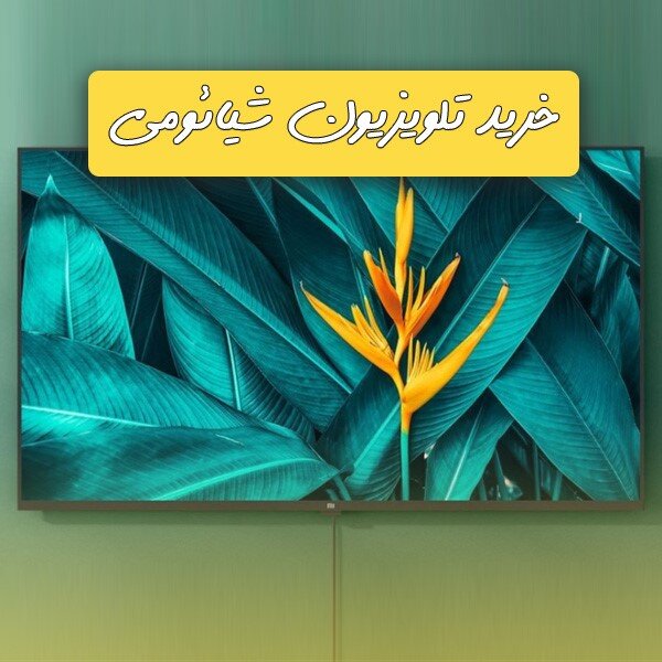 خرید تلویزیون ۶۵ اینچ با بهترین از فروشگاه افرالند