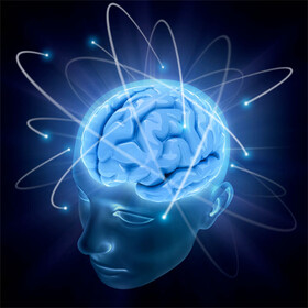 برگزاری کارگاه «علوم اعصاب و شناخت انسان»