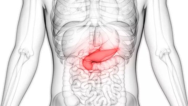 نقش یک آنزیم در ابتلا به دیابت