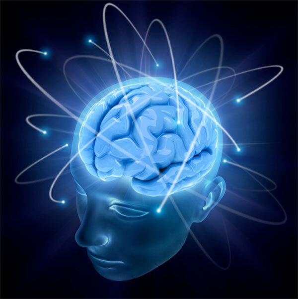 برگزاری کارگاه «علوم اعصاب و شناخت انسان»