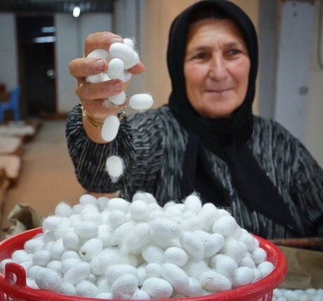 حمایت ویژه وزارت کار از مشاغل کمسرمایه حمایت ویژه وزارت کار از مشاغل کمسرمایه