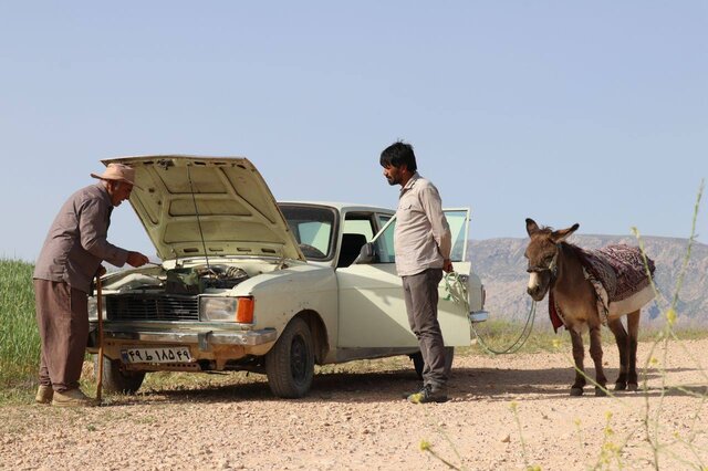 فیلمهای فجر به روایتی دیگر 3