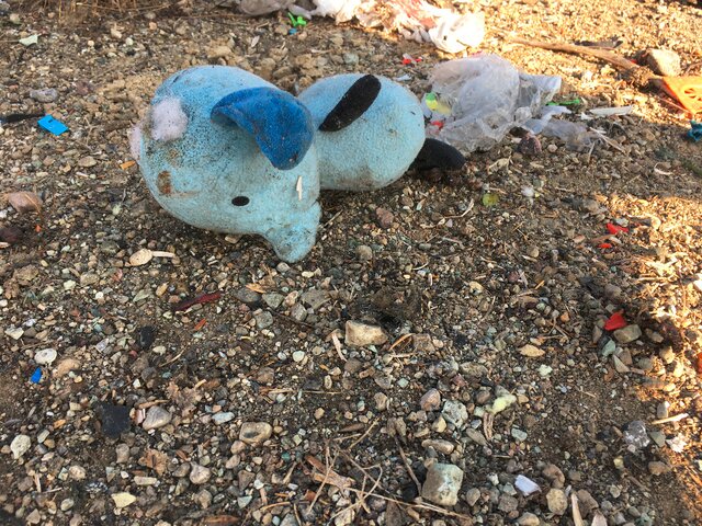 تصاویر از خبرنگار ایسنا، پونه ترابی روایتی تلخ از نخستین لحظات سقوط هواپیمای اوکراینی