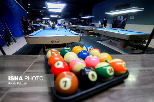 ۱۴ فدراسیون بدون رییس!/ معاونت قهرمانی چه میکند؟