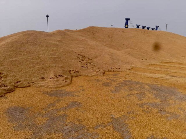 گزارش مستند از ماجرای جوهای جوانهزده گزارش مستند از ماجرای جوهای جوانهزده