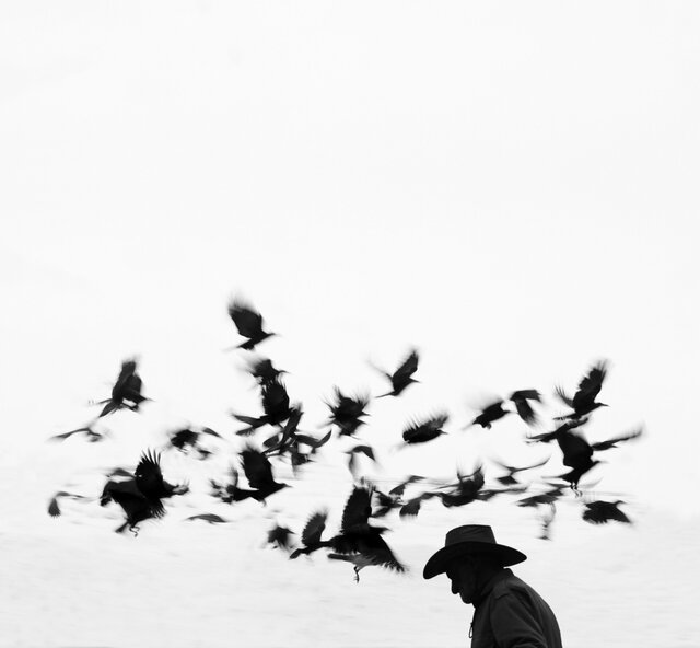 عکاس ایرانی برگزیده جایزه بینالمللی عکاسی شد