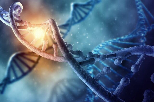 ابداع کوچکترین آنتن جهان با استفاده از DNA! ابداع کوچکترین آنتن جهان با استفاده از DNA!