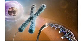 وبینار «طراحی پرایمر برای بررسی بین ژن» برگزار می‌شود