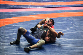 رقابتهای کشتی آزاد قهرمانی کشور