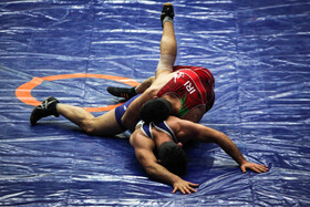 رقابتهای کشتی آزاد قهرمانی کشور