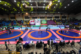 رقابتهای کشتی آزاد قهرمانی کشور