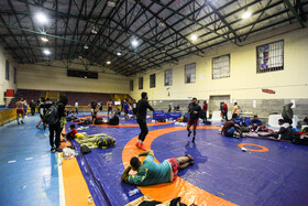 رقابتهای کشتی آزاد قهرمانی کشور