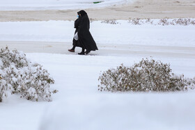 بارش برف در اردبیل