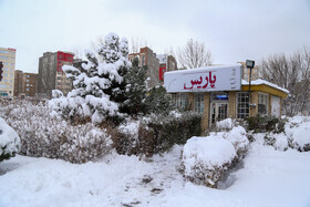 بارش برف در اردبیل