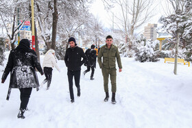 بارش برف در اردبیل