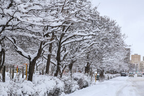 بارش برف در اردبیل