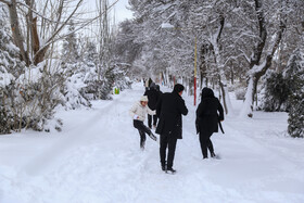 بارش برف در اردبیل