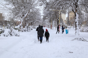 بارش برف در اردبیل