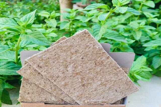 گلدانها را با کارتهای هوشمند تغذیه کنید گلدانها را با کارتهای هوشمند تغذیه کنید