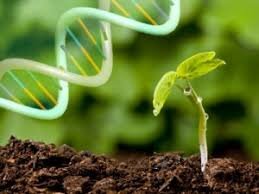 وبینار «کاربرد مدل های مخلوط در اصلاح نباتات» برگزار می‌شود