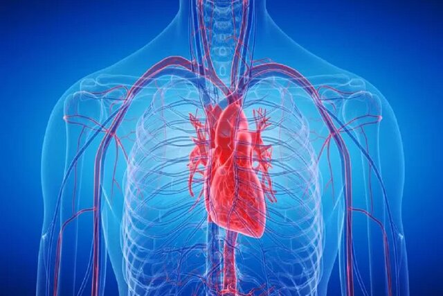 چاقی میتواند آناتومی قلب کودکان را تغییر دهد چاقی میتواند آناتومی قلب کودکان را تغییر دهد