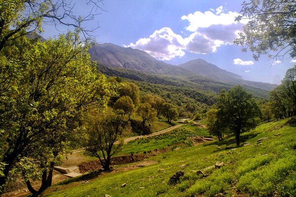 نشست «جنگل های زاگرس: گذشته، حال و آینده»