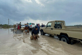 تخلیه چند روستا در میناب بدلیل بارندگی شدید