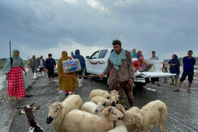 تخلیه چند روستا در میناب بدلیل بارندگی شدید