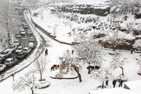 بارش برف در سنندج بعد از دو سال