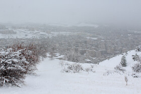 بارش برف در سنندج بعد از دو سال